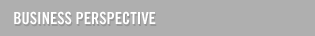 Business Perspective for Lotus Notes